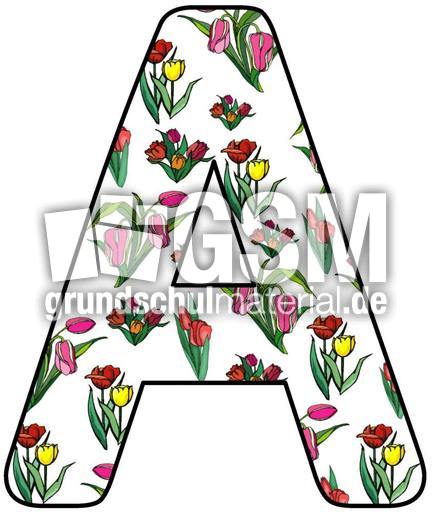 Tulpen-Buchstabe-A.jpg